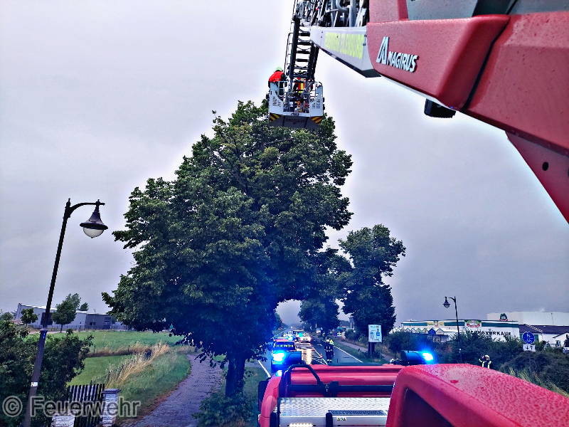 Hilfeleistung Hilfeleistung